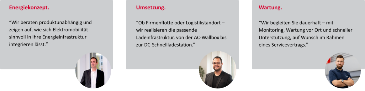 Zitate der Energieexperten zum Thema Elektromobilität
