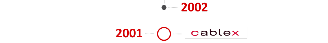 Grafik eines Zeitstrahls mit Fokus auf die Jahre 2002 bis 2001.