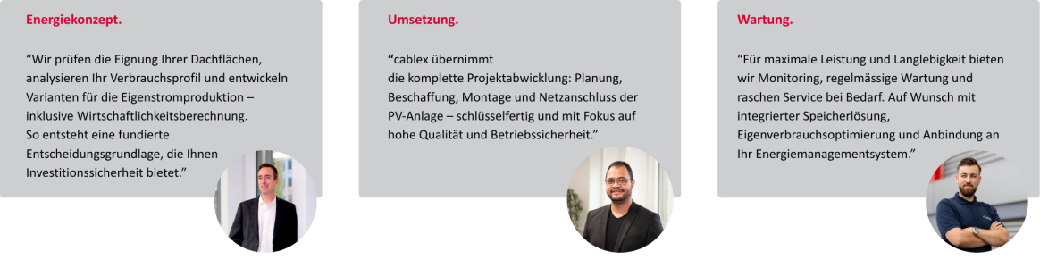 Drei Textblöcke mit Zitaten der Energie-Experten