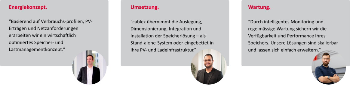 Grafik mit Zitaten der Energie-Experten